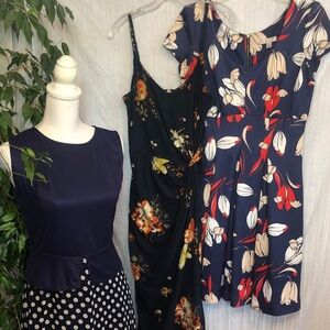 DRESS BARN NINE BRITTON lot 3 navy polka dots & floral size 10/M Summer dresses
